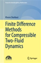 Khosro Shahbazi - Finite Difference Methods for Compressible Two-Fluid Dynamics