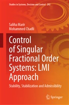 Mohammed Chadli, Saliha Marir - Control of Singular Fractional Order Systems: LMI Approach