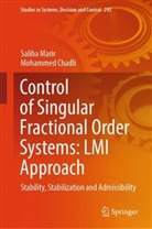 Mohammed Chadli, Saliha Marir - Control of Singular Fractional Order Systems: LMI Approach