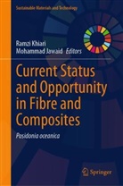 Jawaid, Mohammad Jawaid, Ramzi Khiari - Current Status and Opportunity in Fibre and Composites