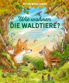 Diana Kohne, Peter Wohlleben, Diana Kohne - Wie wohnen die Waldtiere?