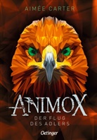 Aimée Carter, Frauke Schneider, Maren Illinger - Animox 5. Der Flug des Adlers