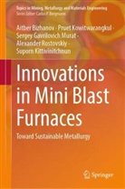Aitber Bizhanov, Suporn Kittivinitchnun, Pruet Kowitwarangkul, Serg Murat, Sergey Gavrilovich Murat, Alexander Rostovskiy - Innovations in Mini Blast Furnaces