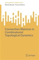 Marian Mrozek, Thomas Wanner - Connection Matrices in Combinatorial Topological Dynamics