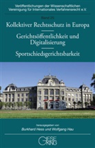 Wolfgang Hau, Wolfgang (Prof. Dr.) Hau, Burkhard Hess, Burkhard Hess (Prof. Dr. Dr. h.c. mult.) - Kollektiver Rechtsschutz in Europa - Gerichtsöffentlichkeit und Digitalisierung - Sportschiedsgerichtsbarkeit