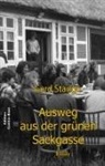 Gerd Stange - Ausweg aus der grünen Sackgasse