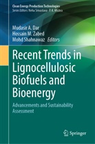 Mudasir A. Dar, Hossain M Zabed, Mohd Shahnawaz, Hossain M. Zabed - Recent Trends in Lignocellulosic Biofuels and Bioenergy