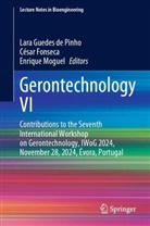 Lara Guedes de Pinho, César Fonseca, Enrique Moguel - Gerontechnology VI