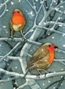 Sarah Ross-Thompson - Wild Birds Pocket Notebook: Robin
