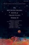Leanna Keyes, Lindsey Mantoan, Angela Schiller, Leanna Keyes, Lindsey Mantoan, Angela Farr Schiller - The Methuen Drama Book of Trans Plays Volume 2