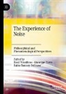 Fabio Tommy Pellizzer, Fabio Tommy Pellizzer, Giuseppe Torre, Basil Vassilicos - The Experience of Noise
