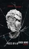 Daniel Ruczko - Pieces of a Broken Mind