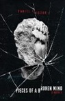 Daniel Ruczko - Pieces of a Broken Mind