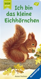 Amrei Fechner, Amrei Fechner - Ich bin das kleine Eichhörnchen