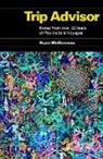 Ryan McGinness - Trip Advisor