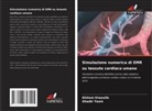 Khitam Elwasife, Ghadir Yasin - Simulazione numerica di EMR su tessuto cardiaco umano