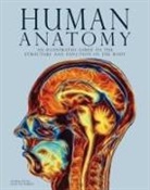 Jane De Burgh - Human Anatomy
