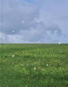 Glenn Adamson, Adamson Glenn - Ground/work 2025