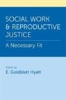E. (Associate Professor of Profes Goldblatt Hyatt, E. Goldblatt Hyatt - Social Work and Reproductive Justice