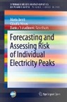Maria Jacob, Cláudia Neves, Danica Vukadinovi¿ Greetham, Danica Vukadinovic Greetham, Danica Vukadinović Greetham - Forecasting and Assessing Risk of Individual Electricity Peaks