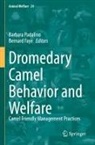 Bernard Faye, Barbara Padalino - Dromedary Camel Behavior and Welfare