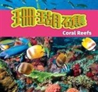 Alexis Roumanis - &#29642;&#29786;&#30977;/Coral Reefs (Mandarin)