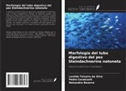 Naisandra Bezerra, Pedro Cavalcanti, Lenilda Teixeira Da Silva - Morfología del tubo digestivo del pez Steindachnerina notonota