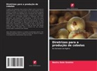 Nasiru  Dole Ibrahim, Nasiru Dole Ibrahim - Diretrizes para a produção de cebolas