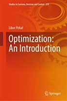 Libor Pekar, Libor Pekař - Optimization: An Introduction