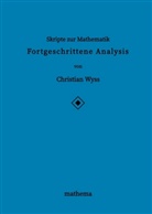 Christian Wyss - Skripte zur Mathematik - Fortgeschrittene Analysis
