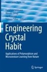 Fumitaro Ishikawa, Jun Kawano, Hiroaki Ohfuji, Tetsuya Tohei - Engineering Crystal Habit