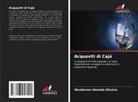 Wanderson Almeida Oliveira - Acquaviti di Cajá