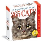 Workman Calendars, Workman Calendars - 365 Cats 2025