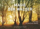 Kilian Schönberger, Kilian Schönberger - Magie der Wälder, Tischaufsteller
