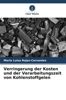 Maria Luisa Rojas-Cervantes - Verringerung der Kosten und der Verarbeitungszeit von Kohlenstoffgelen