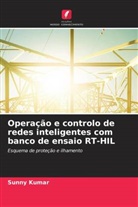 Sunny Kumar - Operação e controlo de redes inteligentes com banco de ensaio RT-HIL
