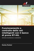 Sunny Kumar - Funzionamento e controllo delle reti intelligenti con il banco di prova RT-HIL