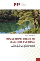 Daniel Florent Akono - Métaux lourds dans le lac municipal d'Ebolowa