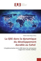 Abdoul Kader Birgui Sekou - La QSE dans la dynamique du développement durable au Sahel