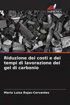 Maria Luisa Rojas-Cervantes - Riduzione dei costi e dei tempi di lavorazione dei gel di carbonio