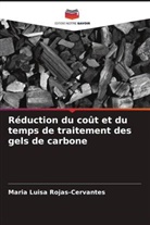 Maria Luisa Rojas-Cervantes - Réduction du coût et du temps de traitement des gels de carbone