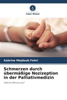 Sabrine Mejdoub Fehri - Schmerzen durch übermäßige Nozizeption in der Palliativmedizin