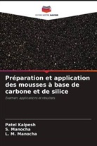 Patel Kalpesh, L. M. Manocha, S. Manocha - Préparation et application des mousses à base de carbone et de silice