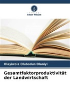 Olayiwola Olubodun Olaniyi - Gesamtfaktorproduktivität der Landwirtschaft
