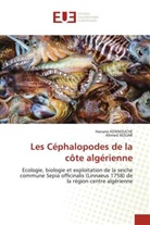 Hanane Kennouche, Ahmed Nouar - Les Céphalopodes de la côte algérienne