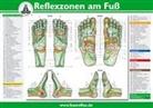 Hanne Marquardt - Reflexzonen am Fuß, Poster