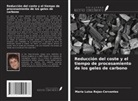Maria Luisa Rojas-Cervantes - Reducción del coste y el tiempo de procesamiento de los geles de carbono