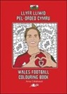 Anne Cakebread, Anne Cakebread - Llyfr Lliwio Pel-Droed Cymru Wales Football Colouring Book New Edition