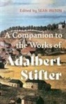 Professor Sean M. (Royalty Account) Ireton, Sean M Ireton - A Companion to the Works of Adalbert Stifter