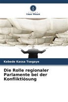 Kebede Kassa Tsegaye - Die Rolle regionaler Parlamente bei der Konfliktlösung